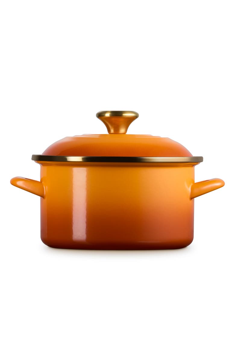 Le Creuset The Traditional Enameled Stainless Steel Petite Stockpot, Alternate, color, Persimmon