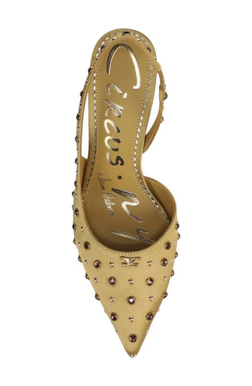 Circus Ny By Sam Edelman Tallie Pointed Toe Slingback Pump In Yellow