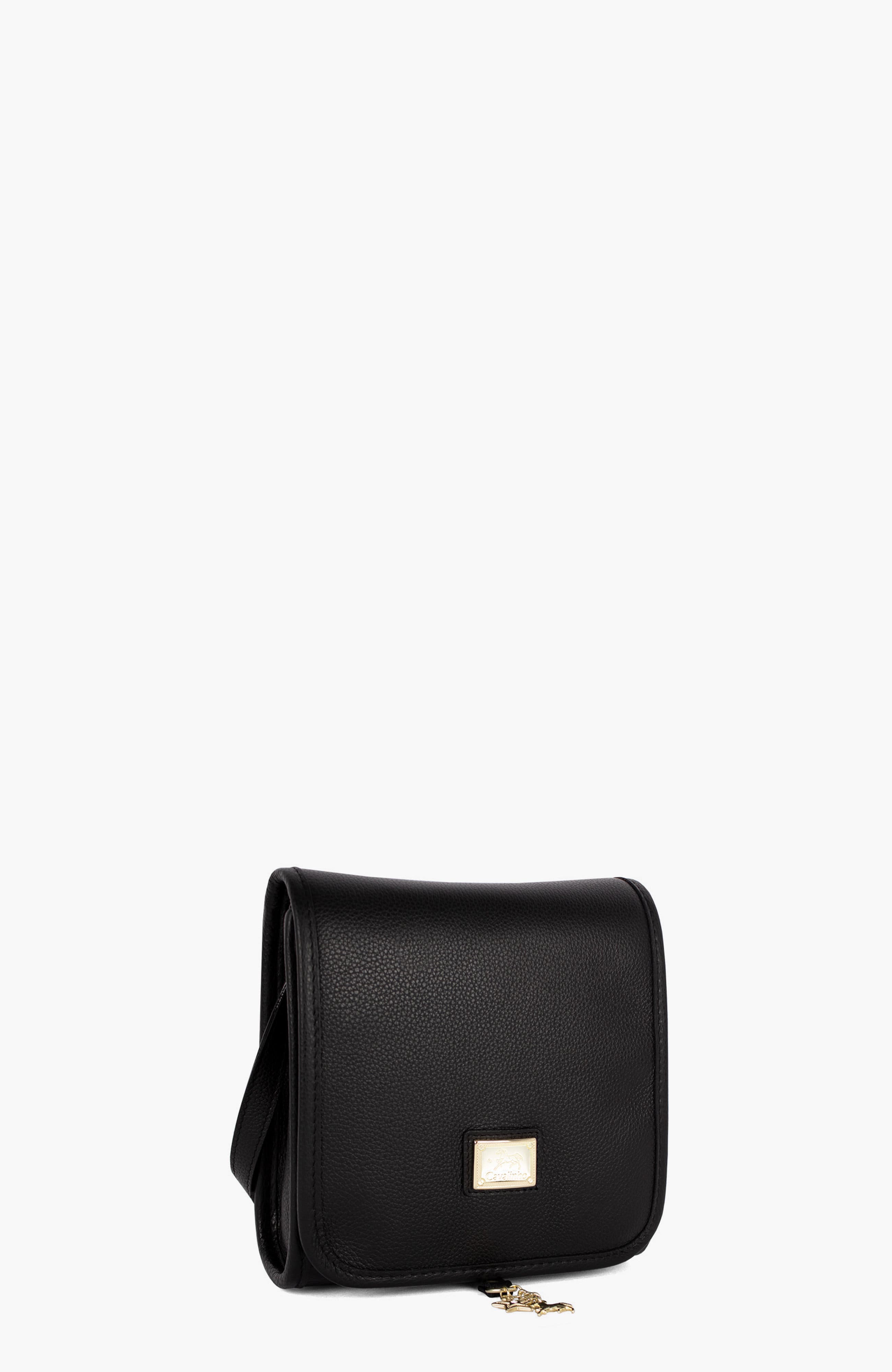 Muse 560 Pebbled Leather Small Crossbody Bag, Alternate, color, Black