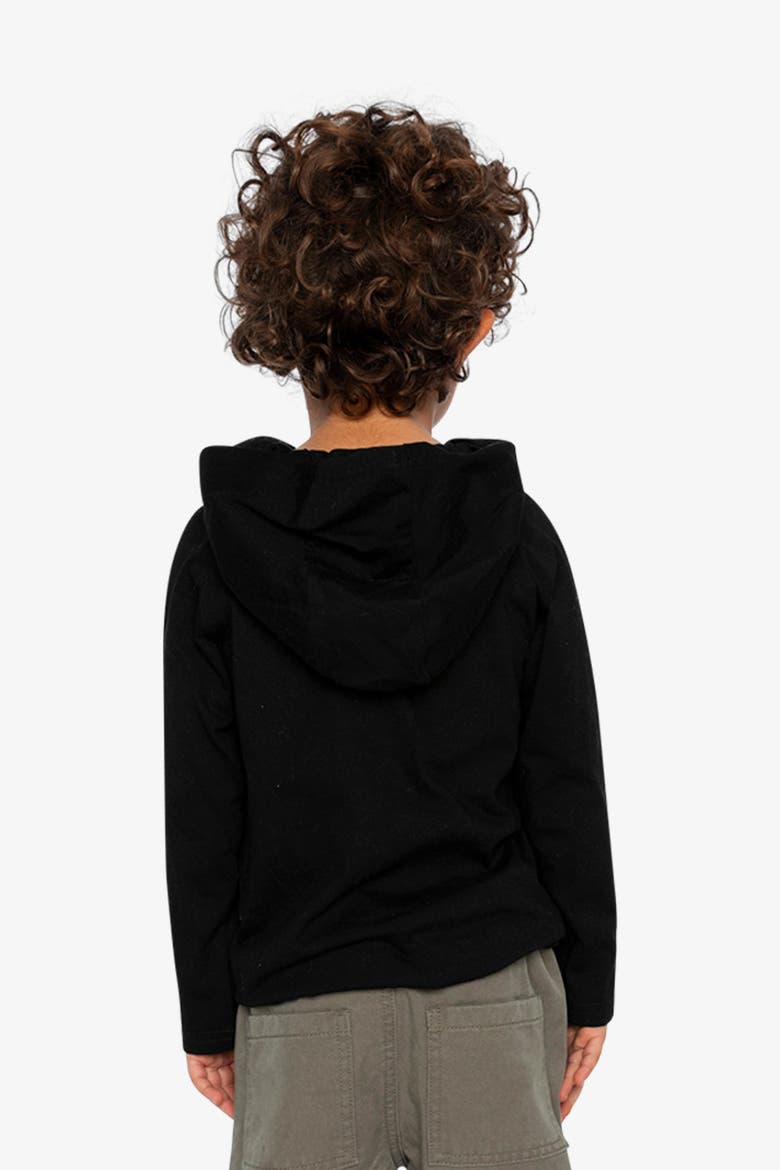 Raglan Hooded Graphic T-Shirt, Alternate, color, Black and Brown
