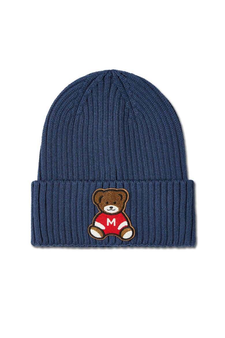 Teddy Bear Ribbed Embroidered Beanie, Main, color, Blue