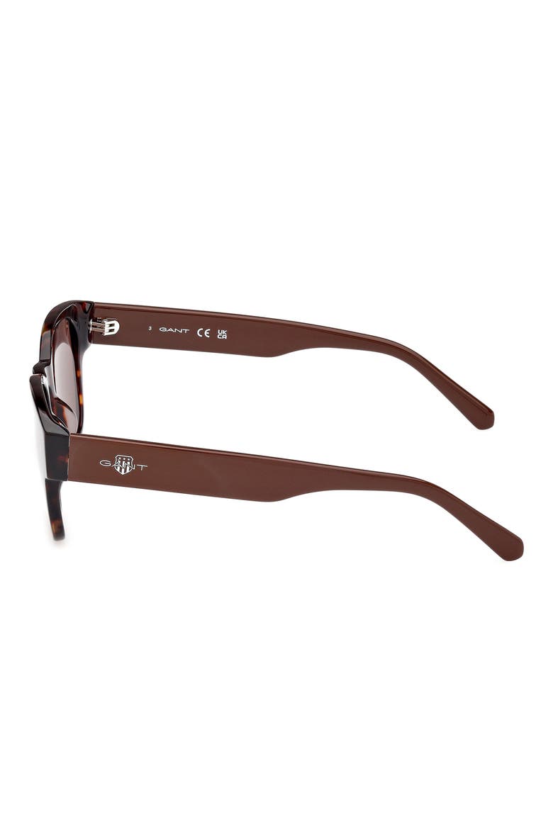 Square Sunglasses, Alternate, color, DARK HAVANA / BROWN