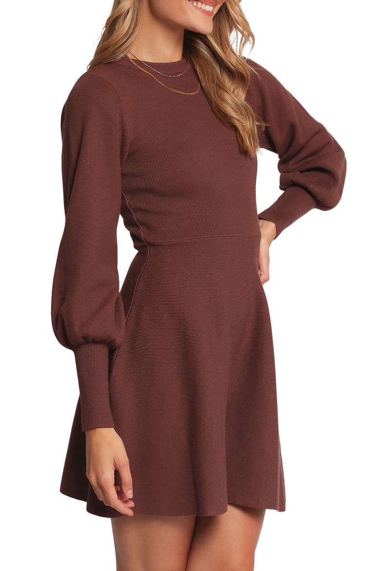Gigi Long Sleeve Fit & Flare Sweater Minidress, Alternate, color, BROWN