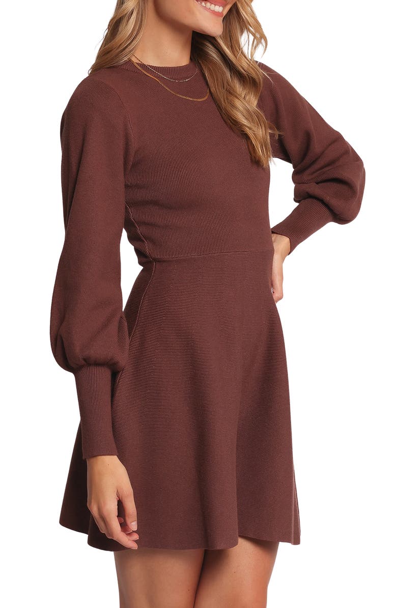 Petal & Pup Gigi Long Sleeve Fit & Flare Sweater Minidress, Alternate, color, Brown