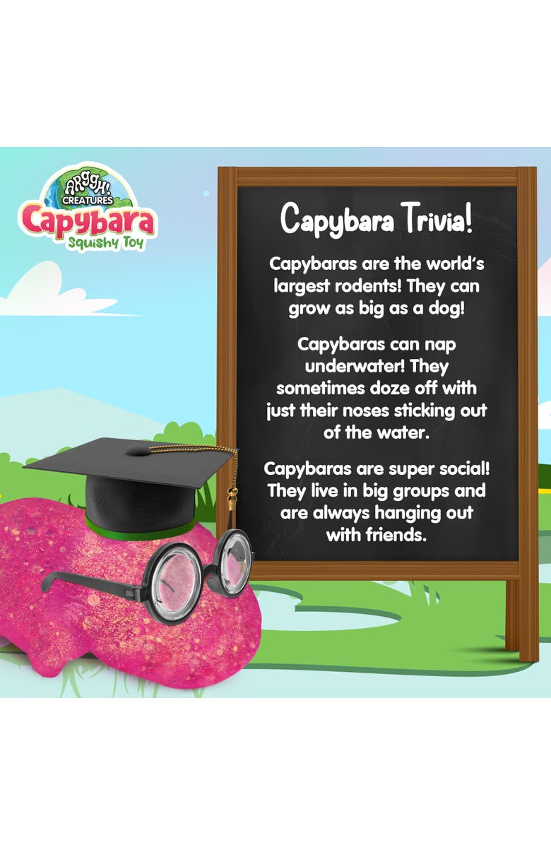 Power Your Fun Fun 2-Pack Capybara Squeeze Balls, Alternate, color, Green, Pink