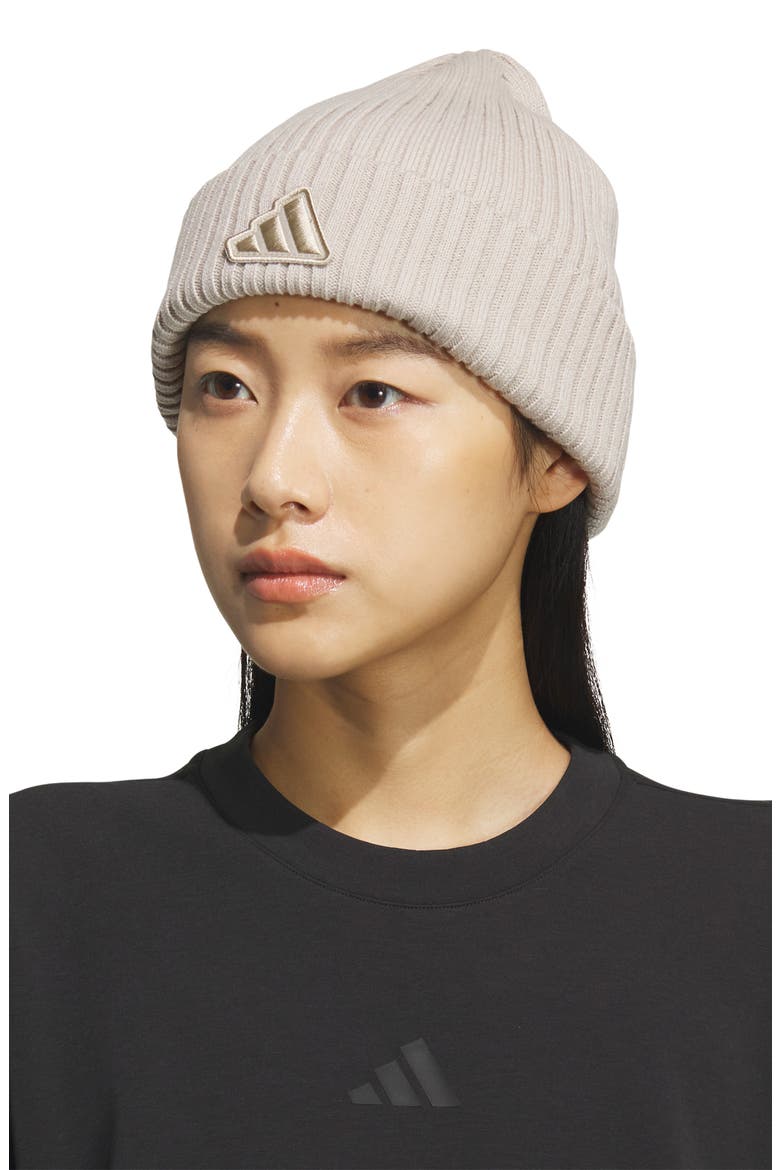 Altitude 2 Cuff Beanie, Alternate, color, WONDER ALUMINA GREY