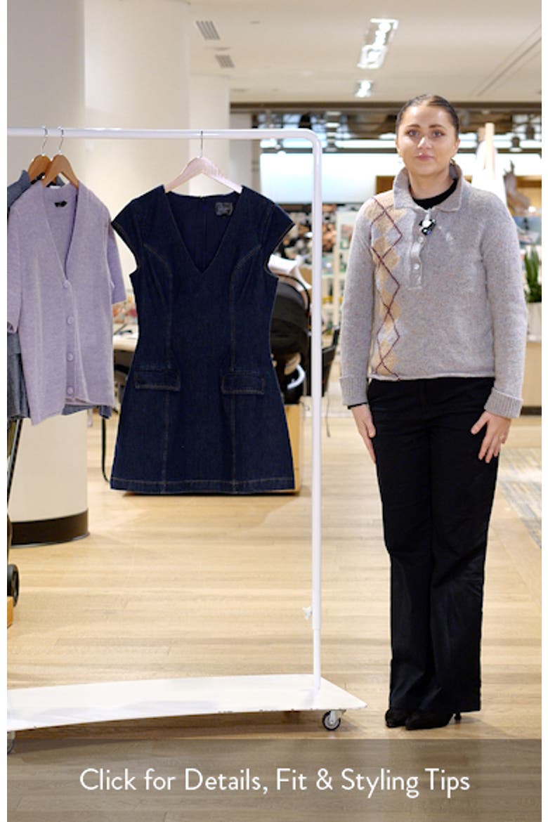 Flavia Denim Minidress video