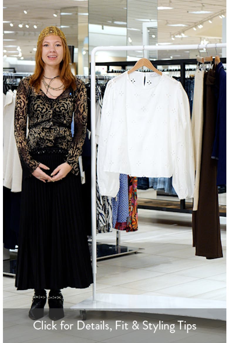 Aggie Embroidered Eyelet Balloon Sleeve Top video