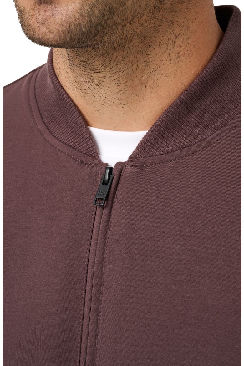 Stretch Cotton Bomber Jacket, Alternate, color, RAISIN
