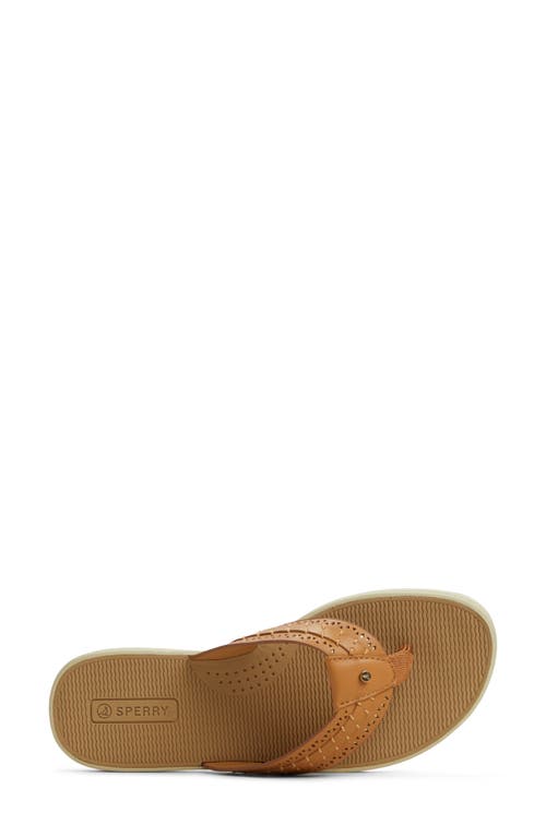 Sperry Seafish 3 Perforated Flip Flop In Brown