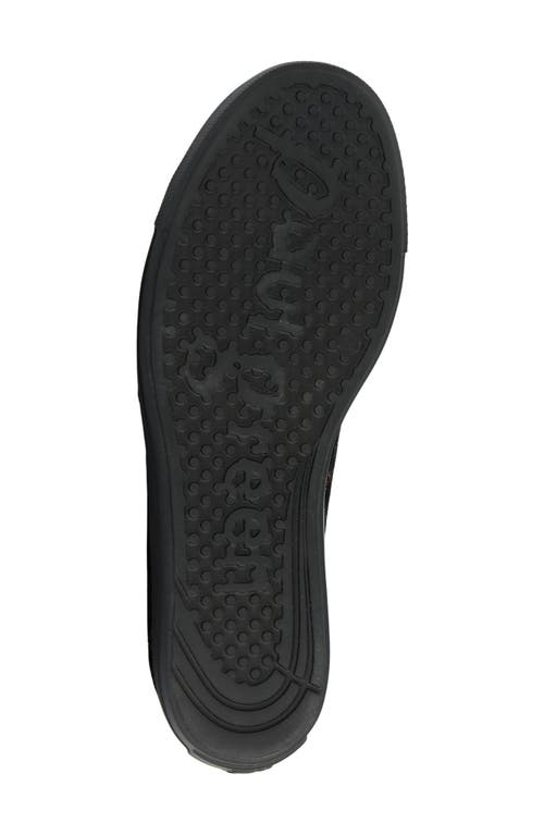 Paul Green Wisdom Sneakers In Black