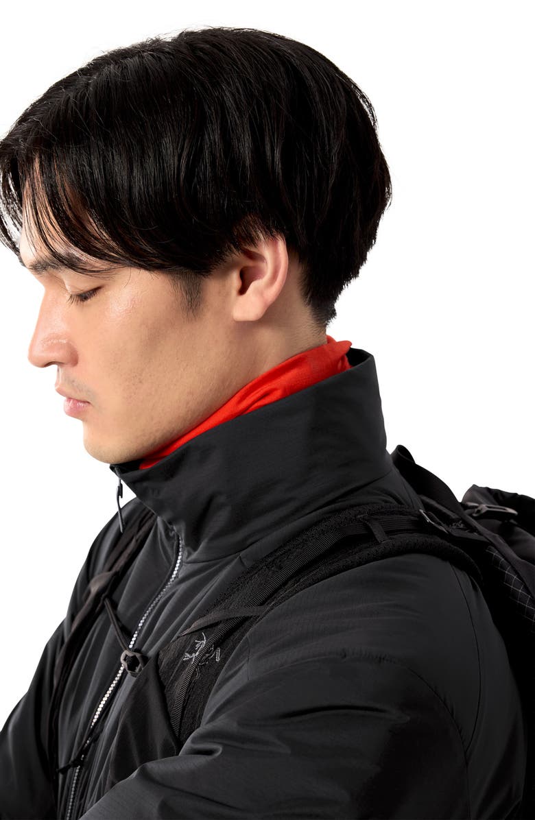 Arc
teryx Atom Jacket, Alternate, color,