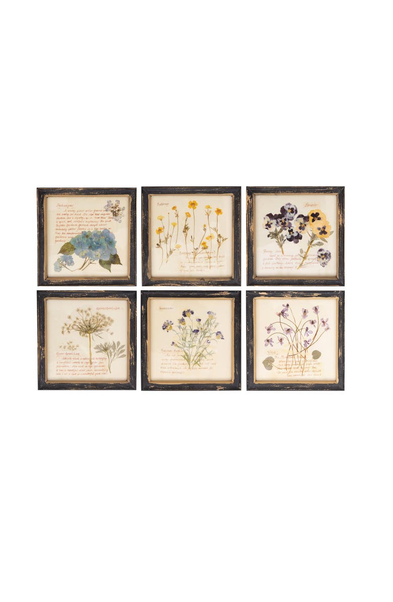 Storied Home Framed Wall Décor with Floral Images and Information, Main, color, Cream