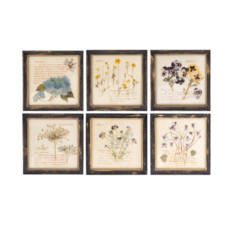 Framed Wall Décor with Floral Images and Information