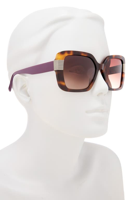 Ted Baker 56mm Gradient Square Sunglasses In Brown