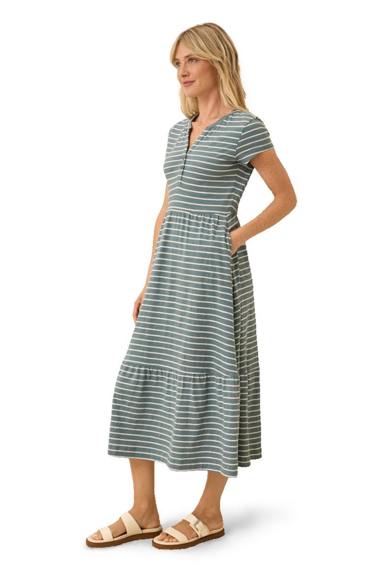 Organic Cotton Relaxed Slub Henley Market Dress, Alternate, color, Burbank Stripe