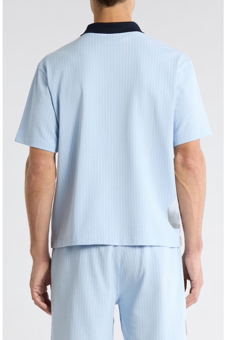 Pet Pinstripe Graphic Cotton Polo, Alternate, color, BLUE