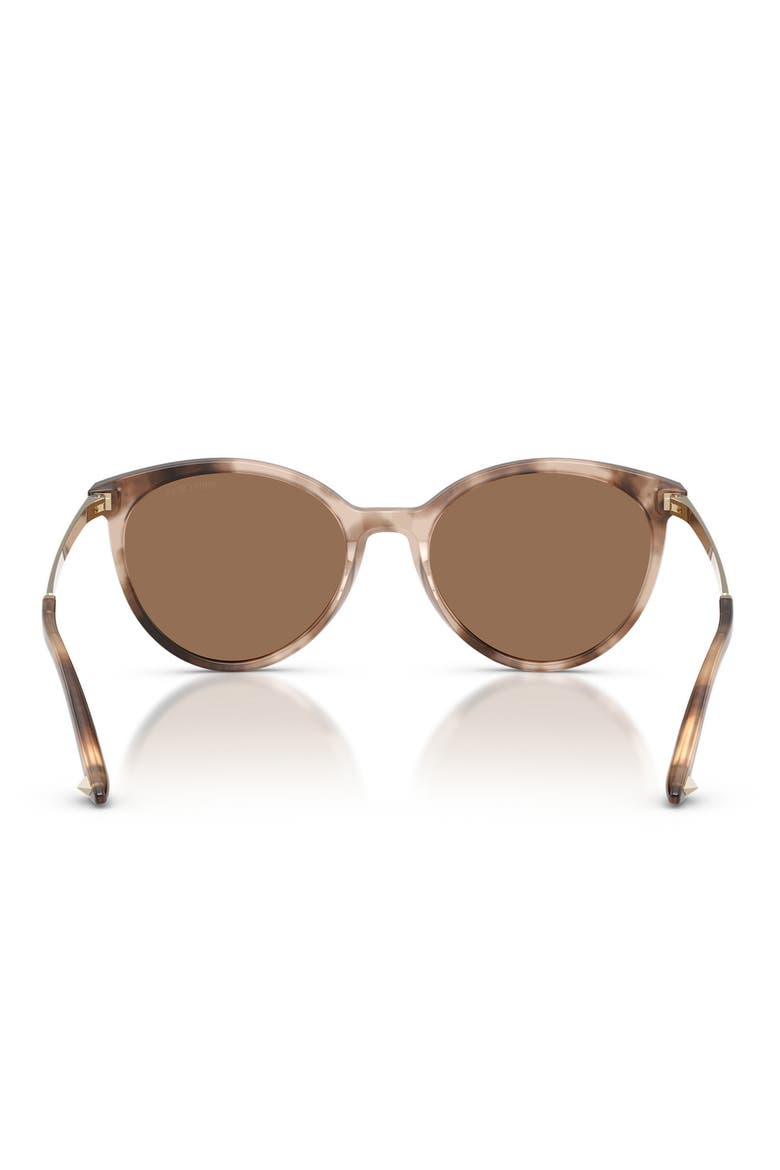 JC5060 53mm Phantos Sunglasses, Alternate, color, CHAI HAVANA / DARK BROWN