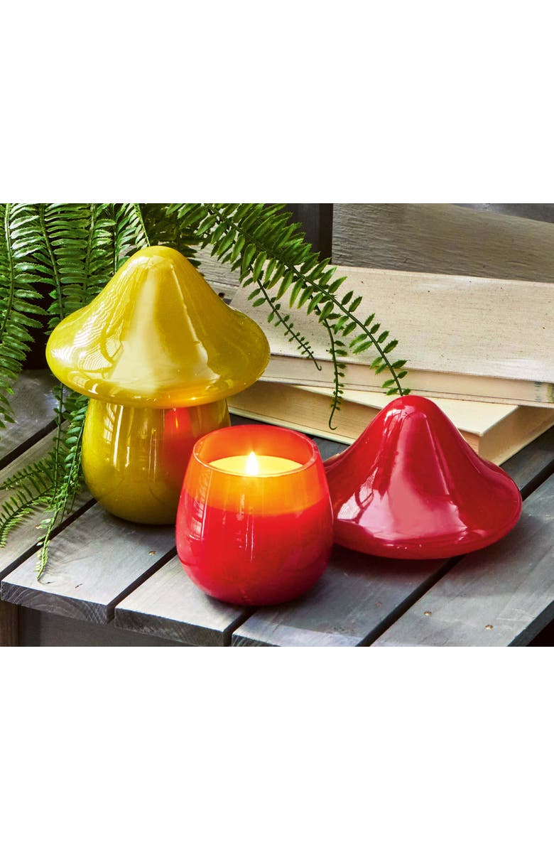 tag Mushroom Citro Tuberose Candle Perfect for Spring Summer, Alternate, color, Orange