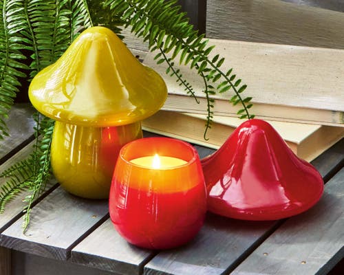 Tag Mushroom Citro Tuberose Candle Perfect For Spring Summer In Red
