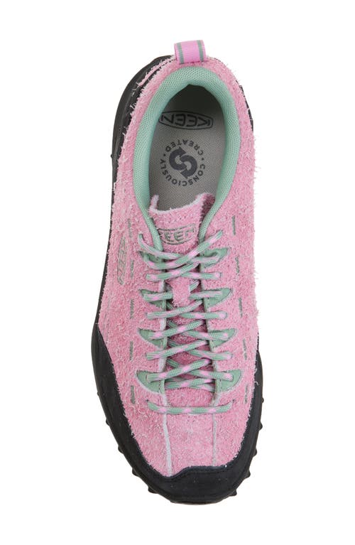 Keen Jasper Zionic Hiking Sneaker In Moonlight Mauve/granite Green