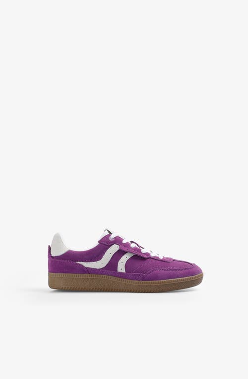 Scalpers Numico Sneakers W In Purple