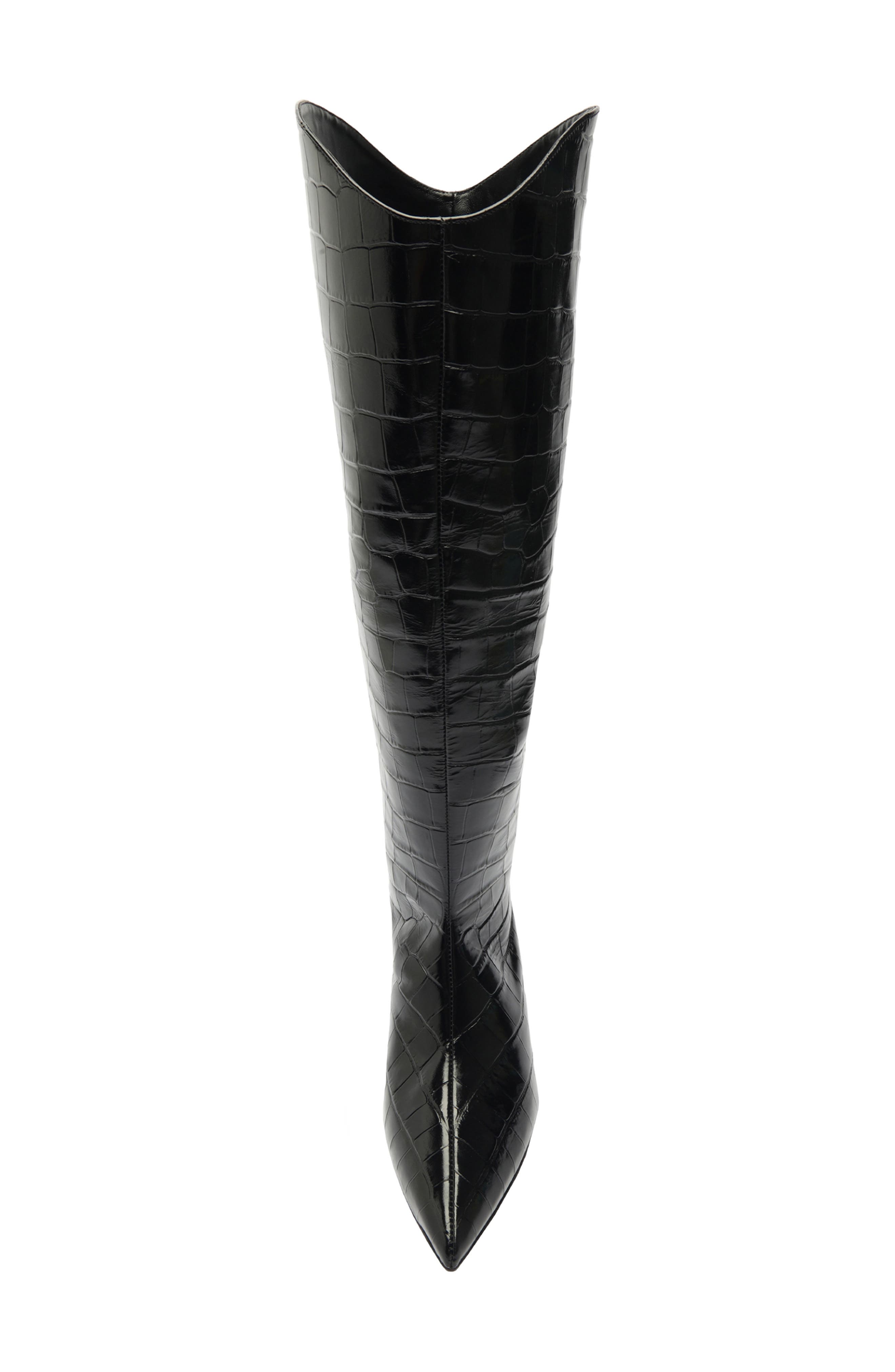 Schutz Maryana Lo Pointed Toe Knee High Boot, Alternate, color, Black