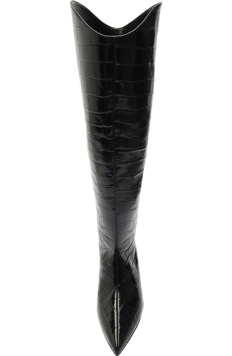 Schutz Maryana Lo Pointed Toe Knee High Boot, Alternate, color, Black