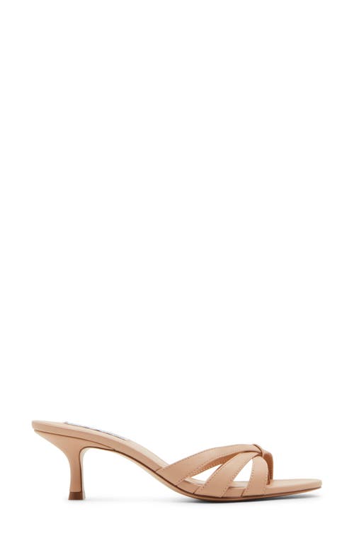 Steve Madden Cary Flip Flop In Tan Leather