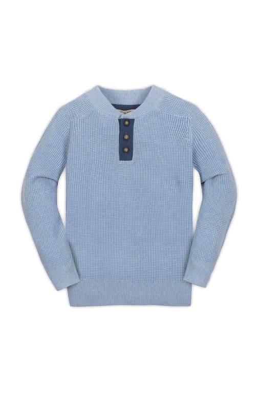 Hope & Henry Kids' Organic Long Sleeve Henley Pullover Sweater With Elbow Patches In Blue