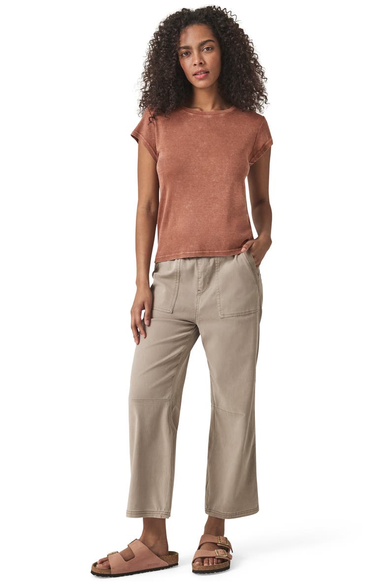 Splendid Faye Crewneck Tee, Alternate, color, Chestnut