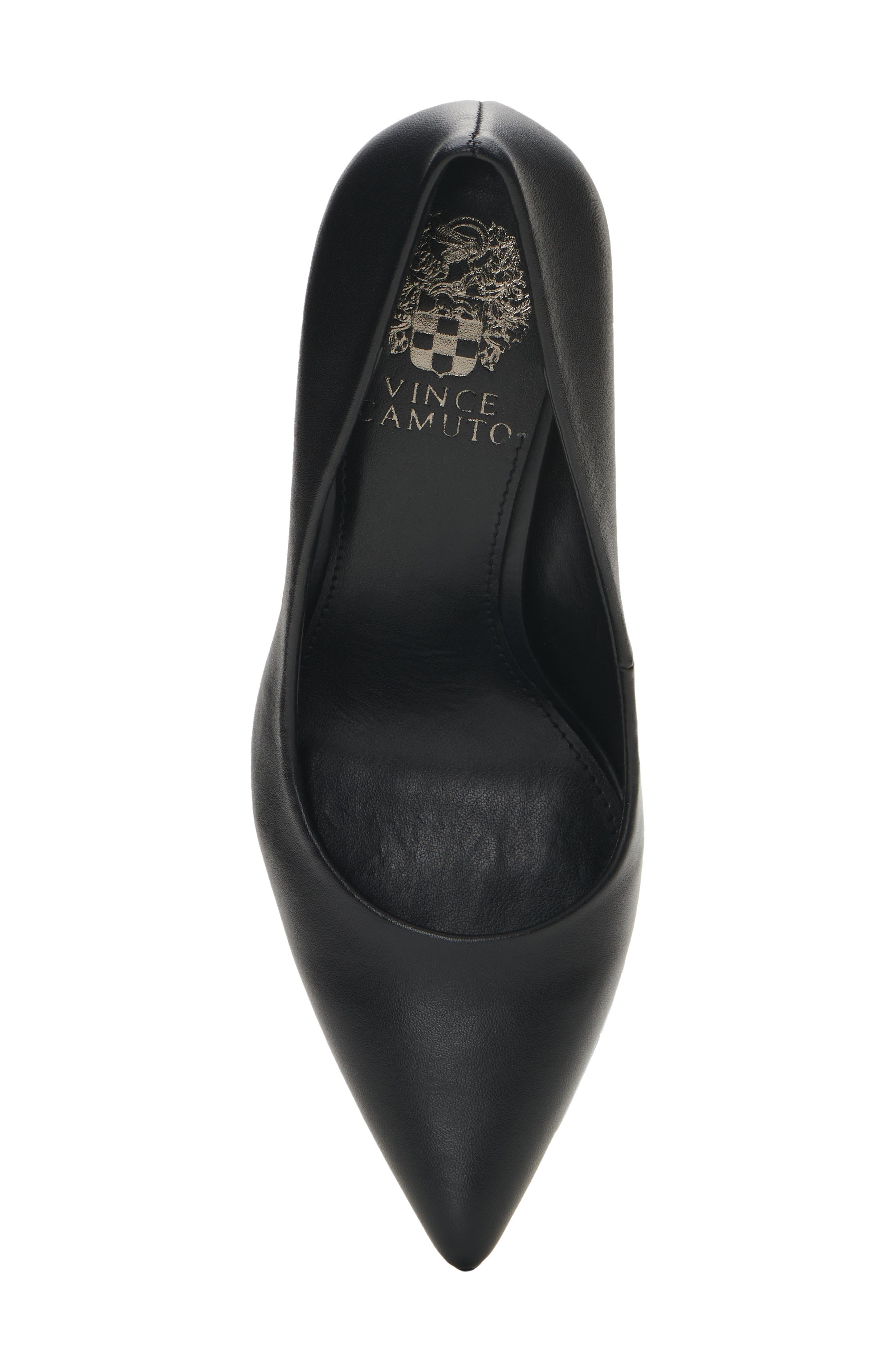Vince Camuto Puntolis Pointed Toe Pump, Alternate, color, 