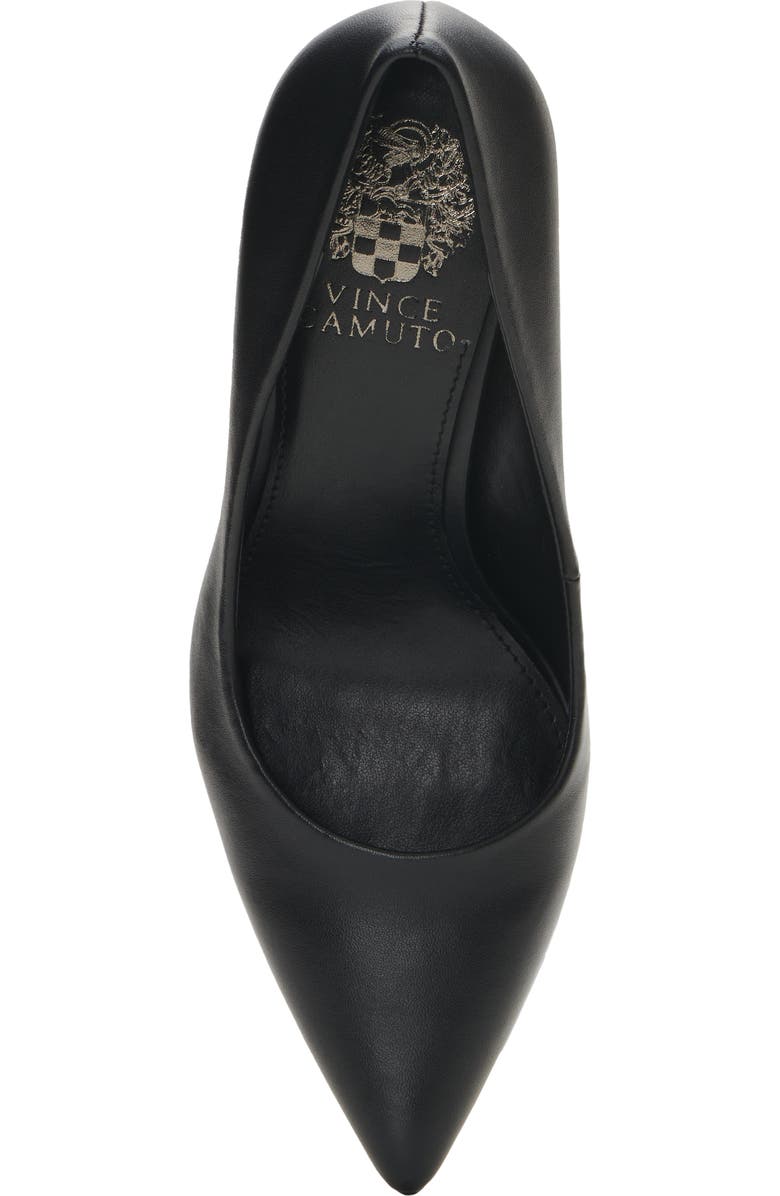 Vince Camuto Puntolis Pointed Toe Pump, Alternate, color,