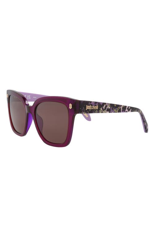 Just Cavalli 54mm Square Sunglasses In Violet Havana Brown