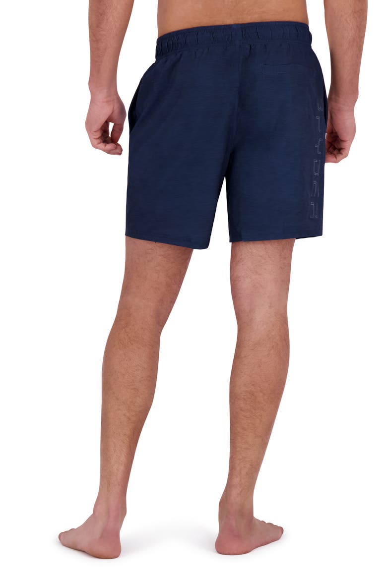 Core Volley Swim Trunks, Alternate, color, DRESS BLUE