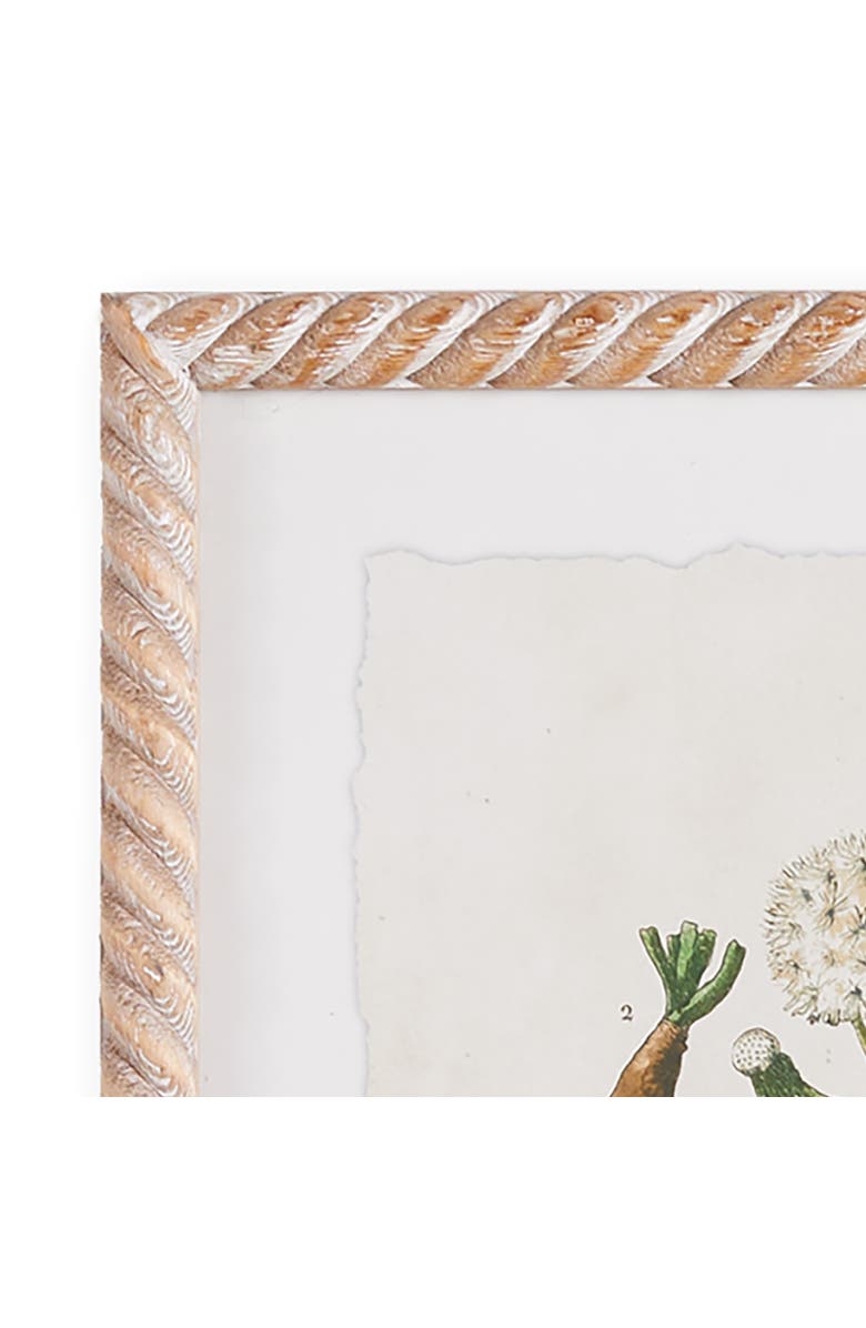 Napa Home & Garden Vintage Botanical Study Set of 4, Alternate, color, 