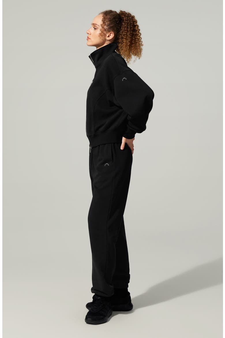 SILKERRY Oversized Heirloom '89 Zip Stand Collar Jacket, Alternate, color, Black