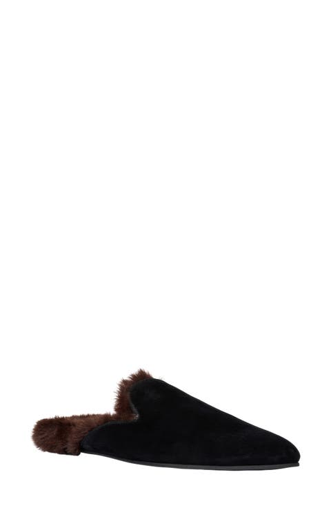 Daria Mule