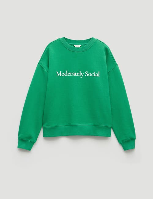 Hush Social In Theory Graphic Sweatshirt In Green