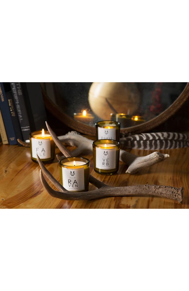 Ellis Brooklyn Raven Terrific Scented Candle, Alternate, color, 