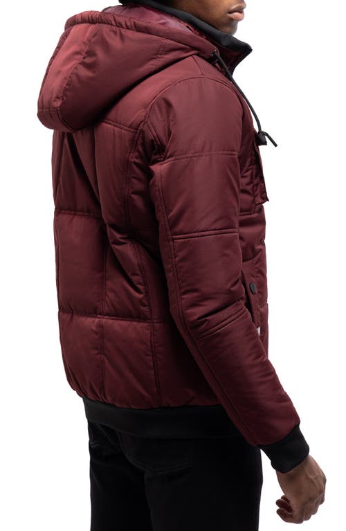 X-ray Xray Hooded Puffer Jacket In Multi