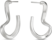 Nabs And Babs Sahab Hoop Earrings
