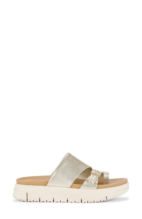Baretraps Henrika Slide Sandal In Champagne
