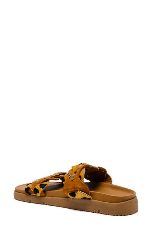 Free People Leo Genuine Calf Hair Sandal In Leopard Calf Hair