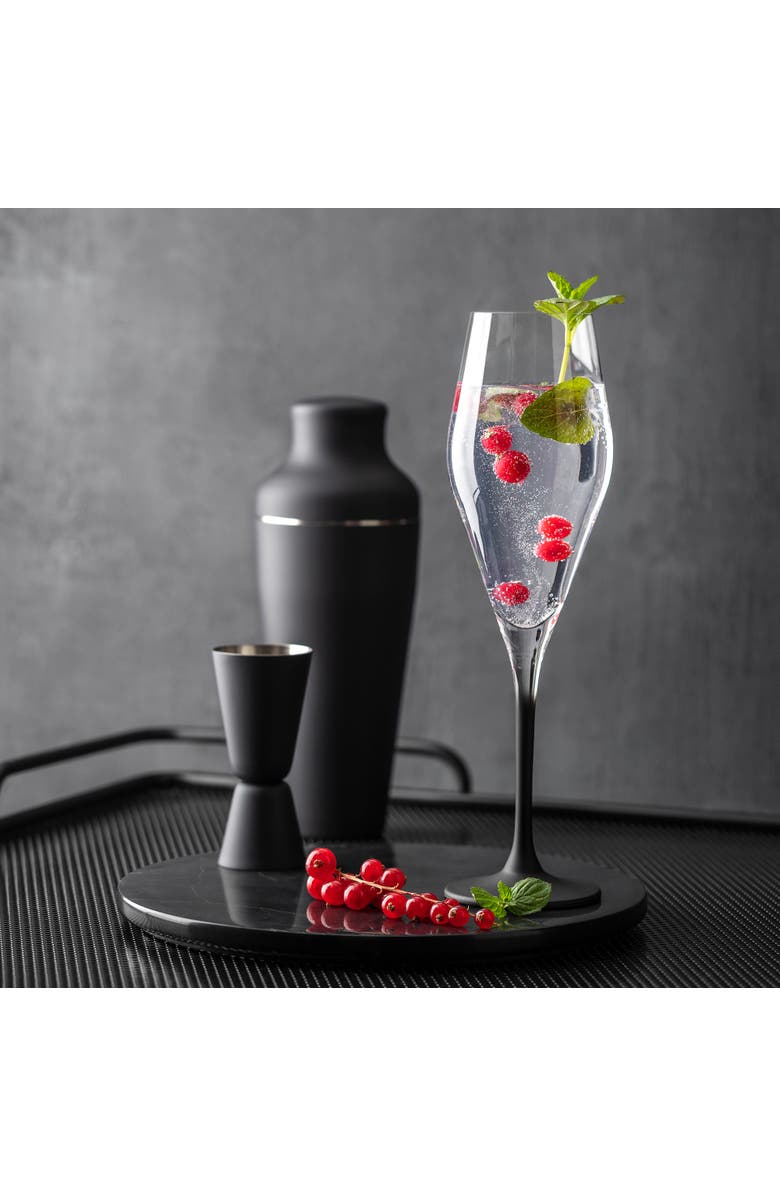 Villeroy
Boch Manufacture Rock Champagne Flute Set of 4, Alternate, color, Clear