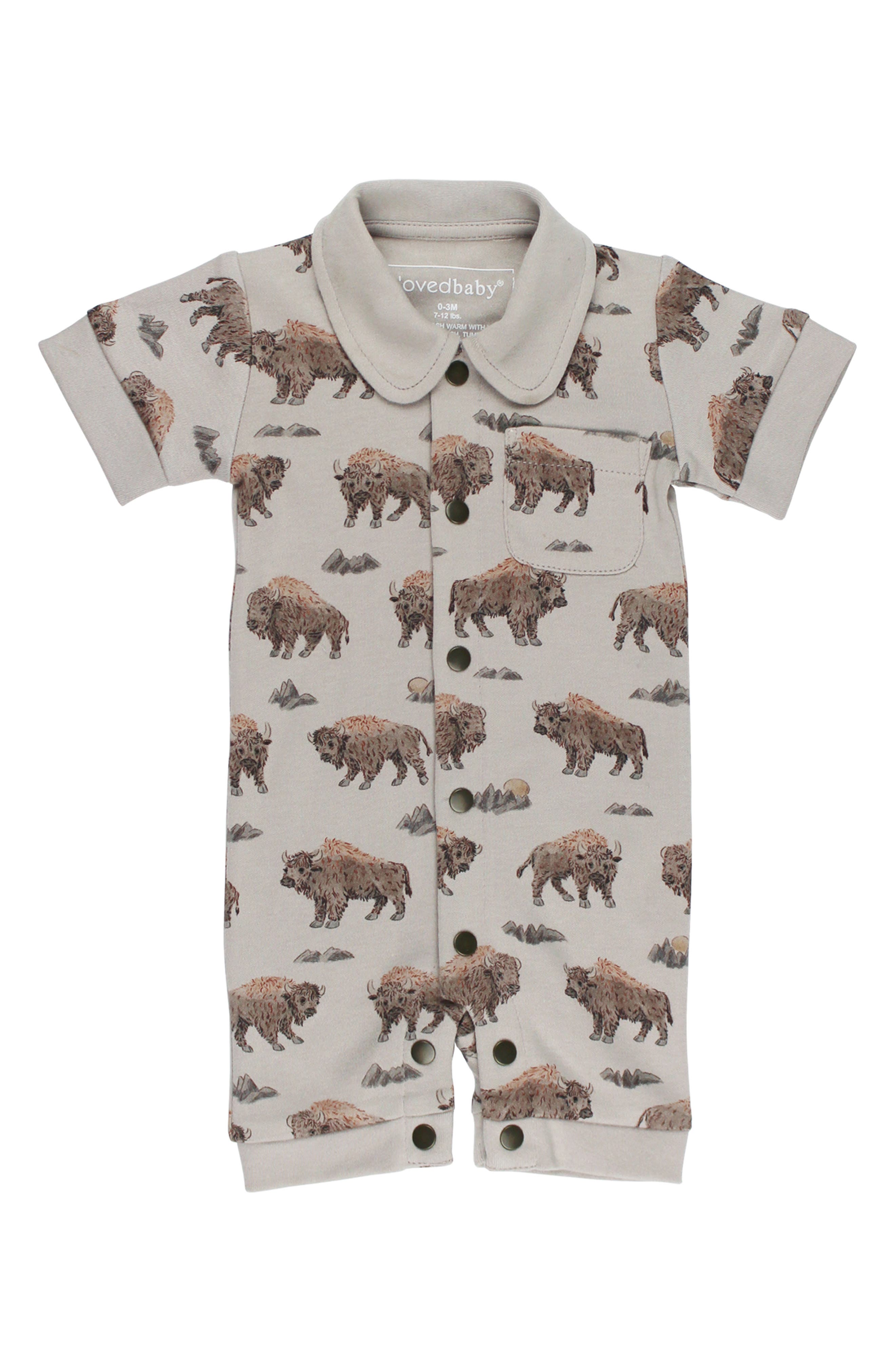 BISON