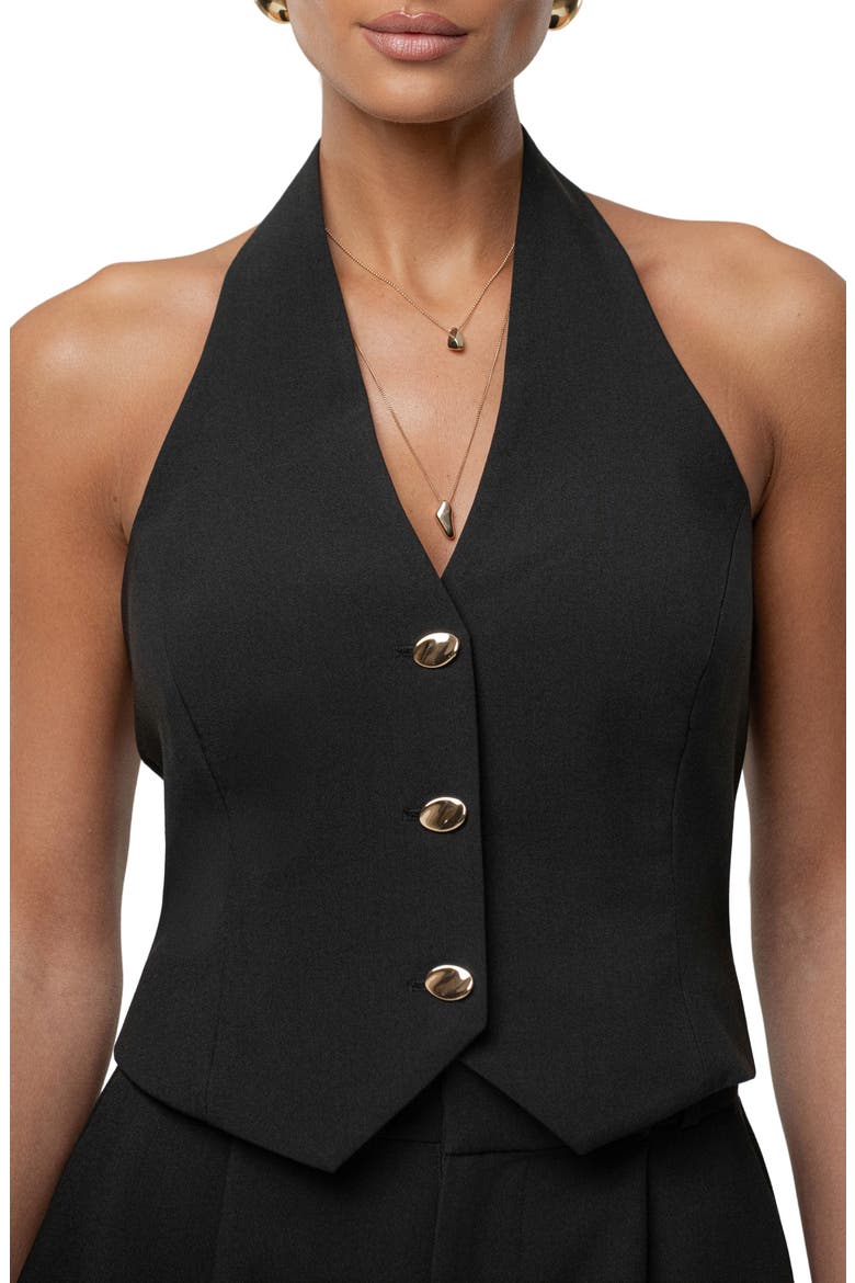 Luxe Halter Vest, Alternate, color, BLACK