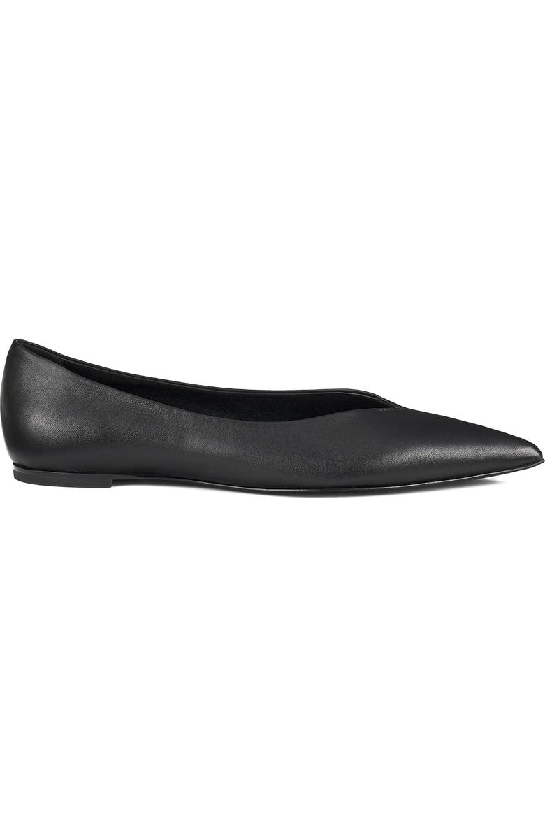 AGL Fergy Pointed Toe Flat, Alternate, color, Black Nappa
