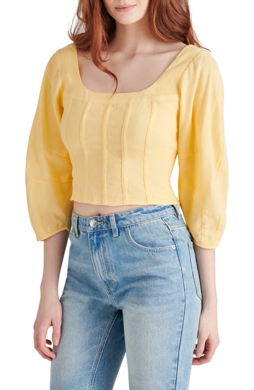 Steve Madden Shay Corset Crop Top In Golden Glow