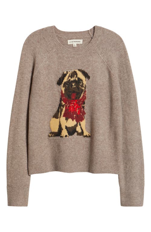 Lucky Brand Cloud Soft Pug Intarsia Sweater In Brown